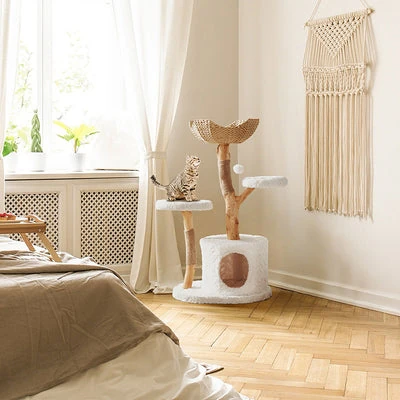dog box cover protecting a border collie on a ute in tropical Queensland