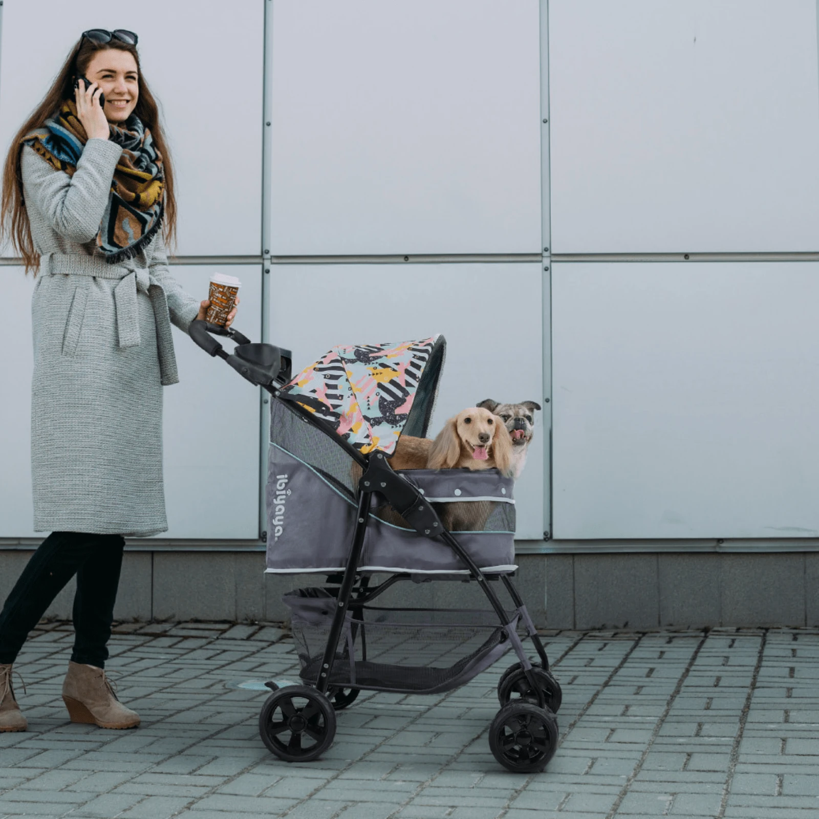 close-up laser engraving on stainless steel personalised dog collars and leads